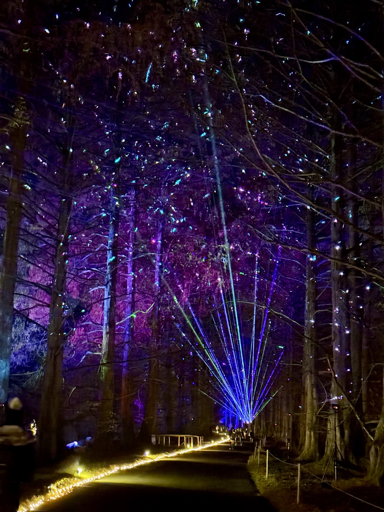 Christmas Garden on Island Mainau 🇩🇪