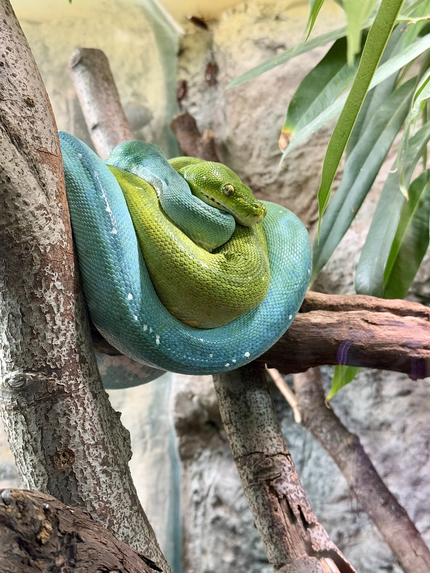 Zagreb Zoo 🇭🇷