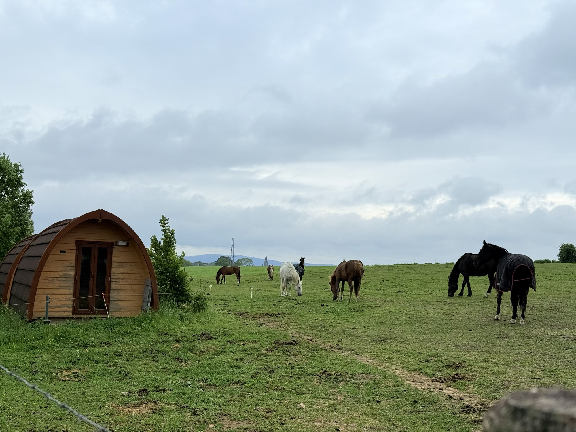 Farm Overnight 🇧🇪