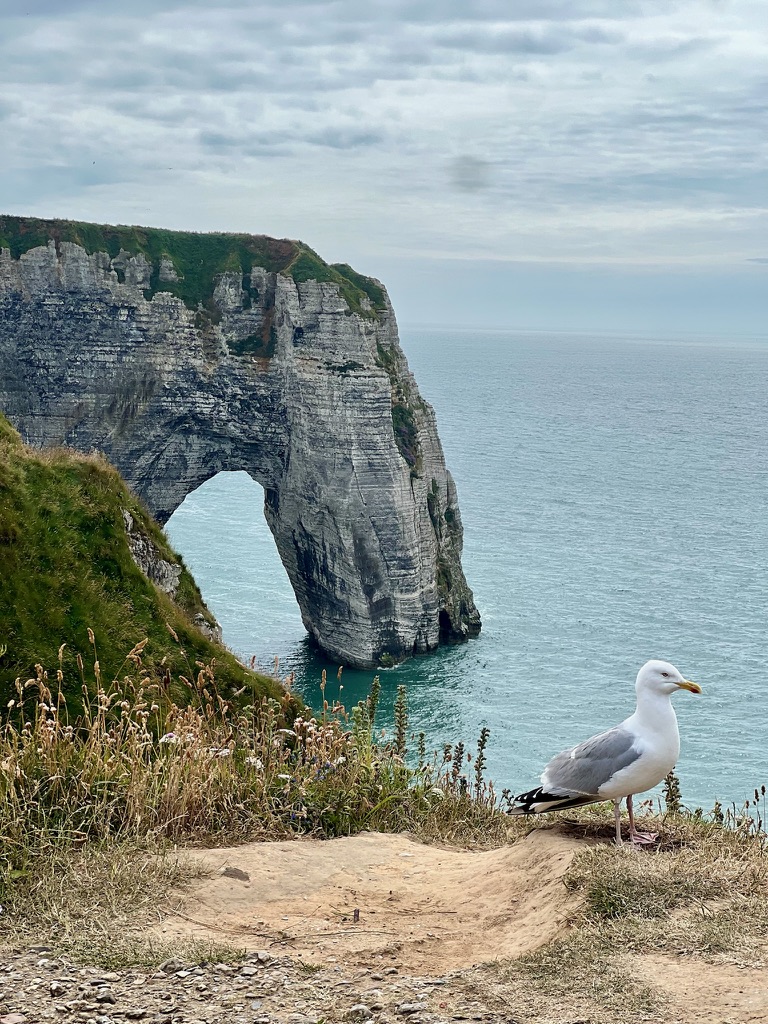 Étretat, Normandie, France 🇫🇷 