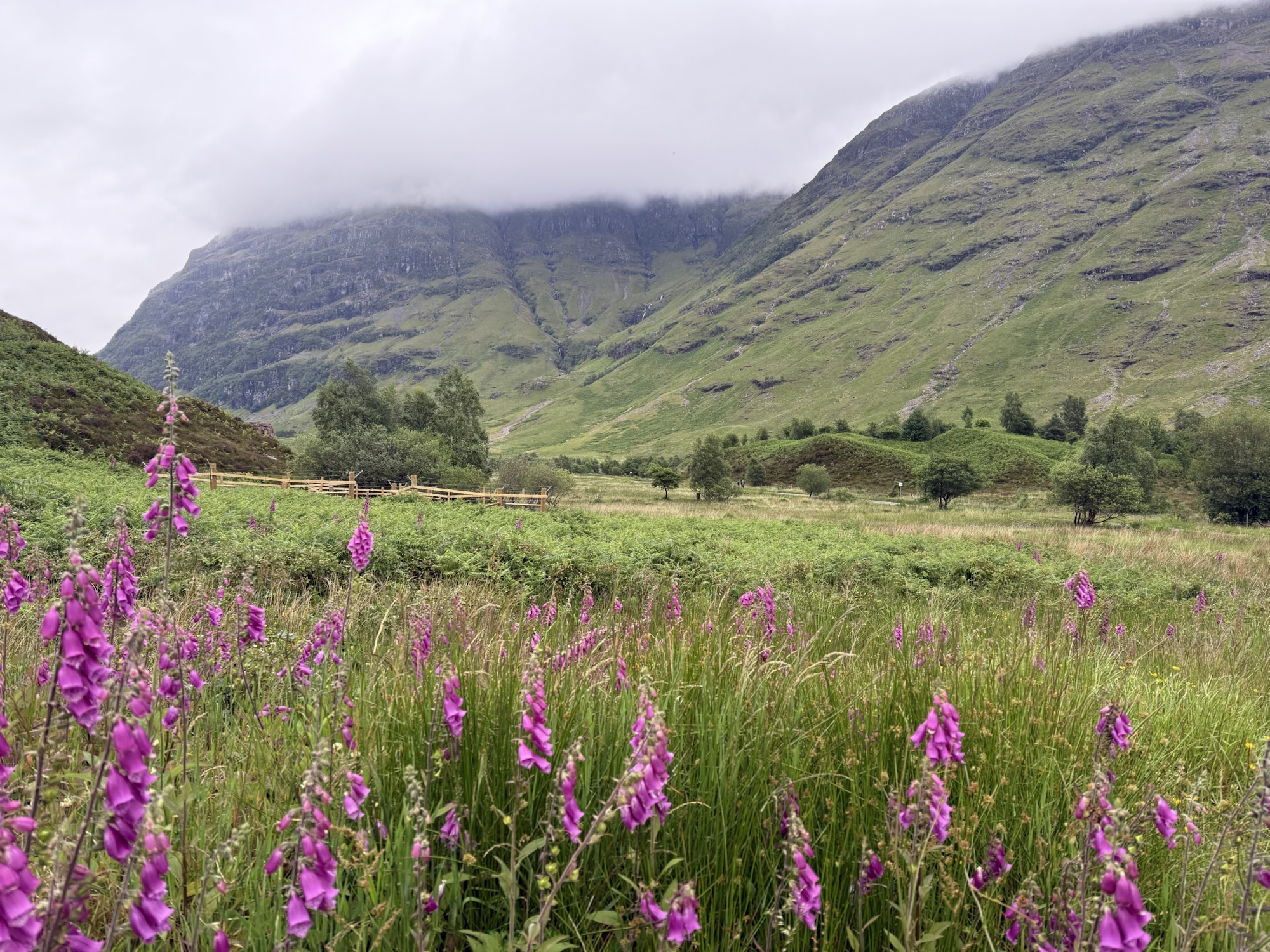 Lochs, Legends, and Mountains (Day 4) 🏴󠁧󠁢󠁳󠁣󠁴󠁿