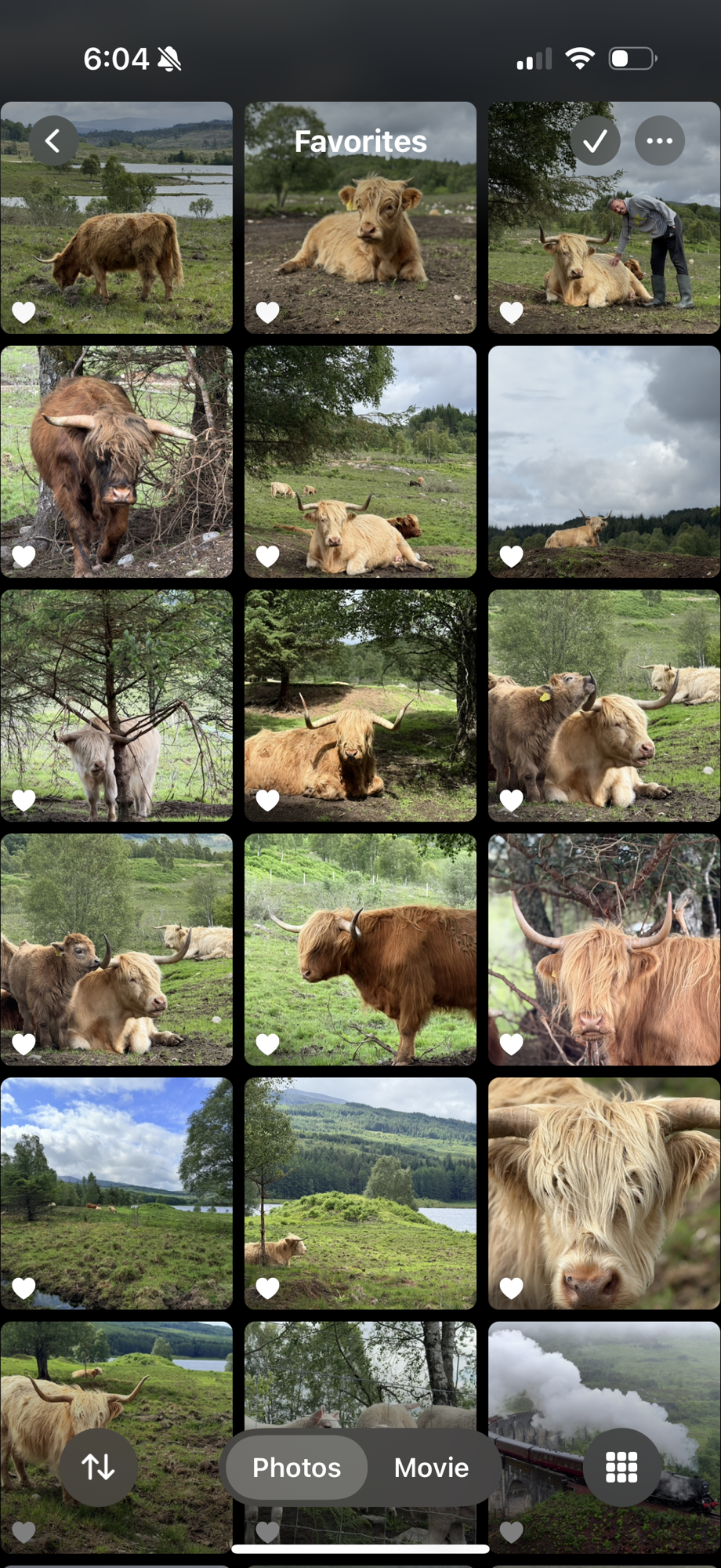 From Fort William to the Isle of Skye: Castles, Cows, and Coastal Crossings (Day 7) 🏴󠁧󠁢󠁳󠁣󠁴󠁿