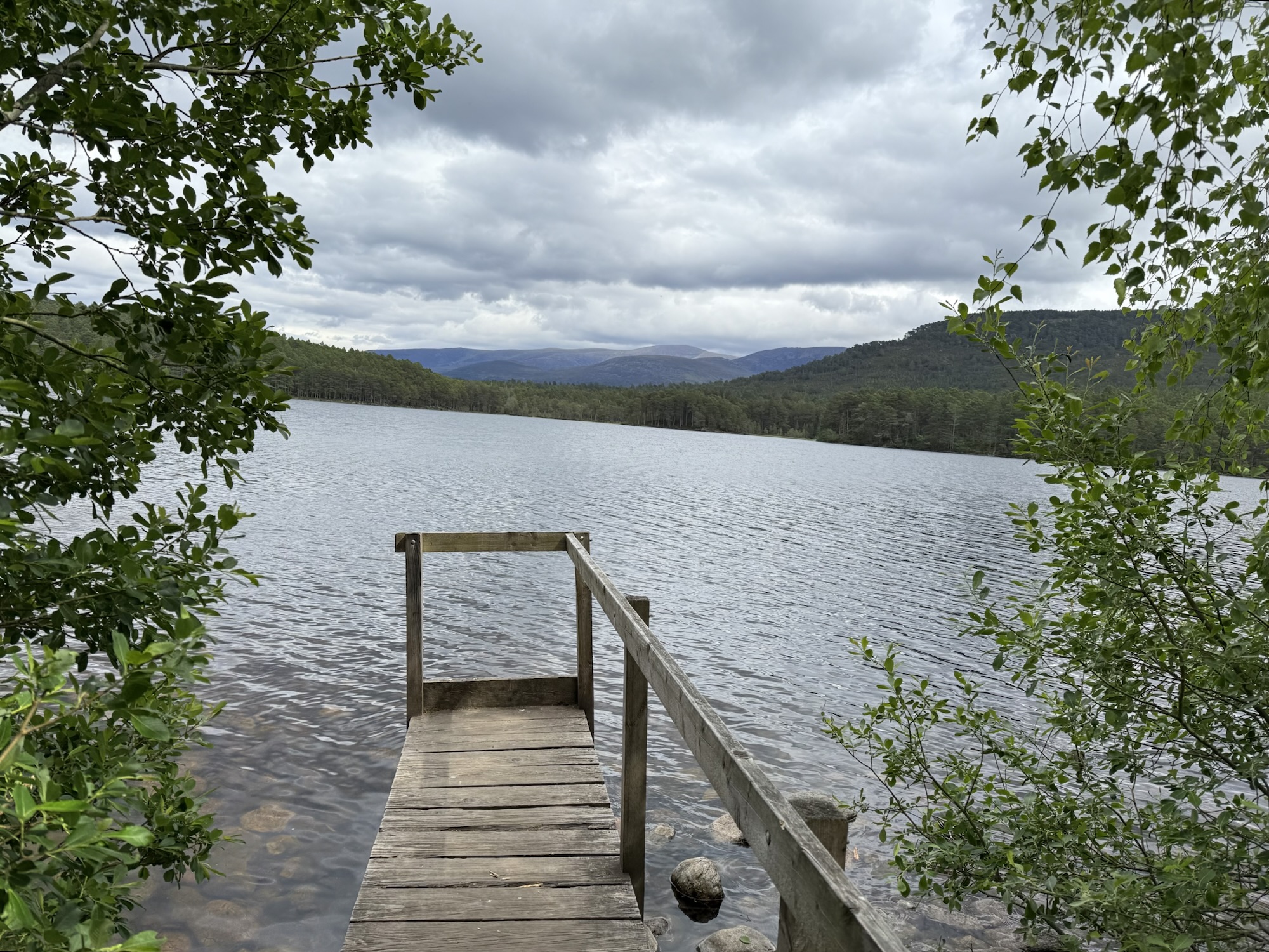 History, Highlands & Hidden Forests (Day 9) 🏴󠁧󠁢󠁳󠁣󠁴󠁿