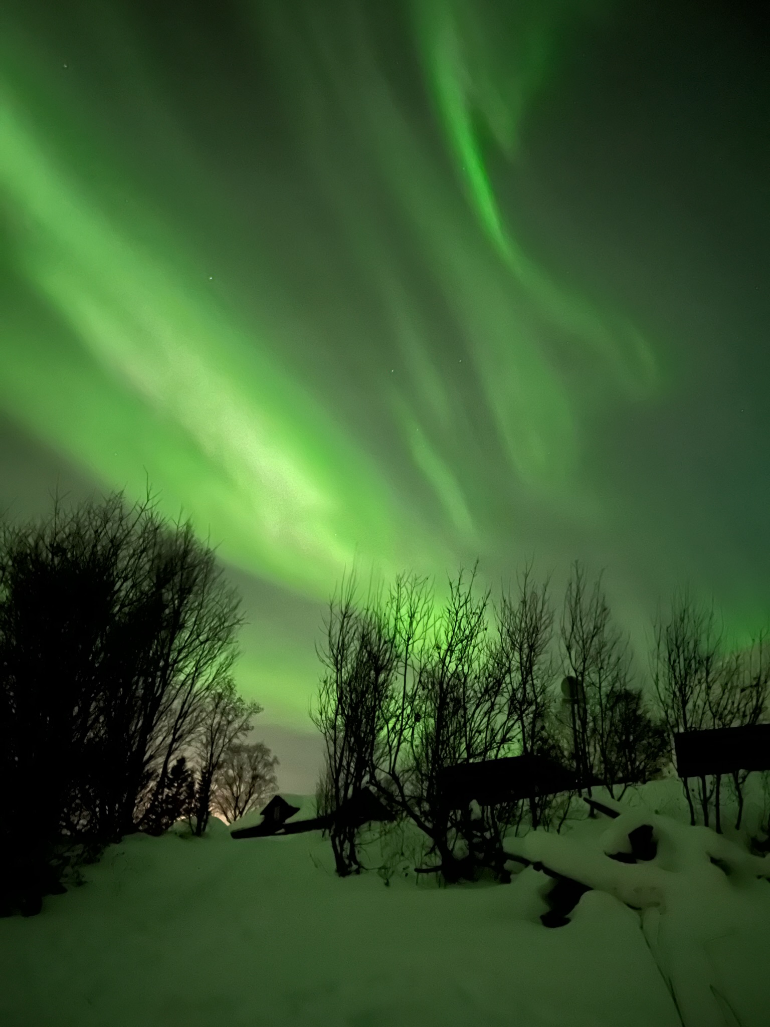 Chasing the Aurora: A Night I’ll Never Forget 🇳🇴