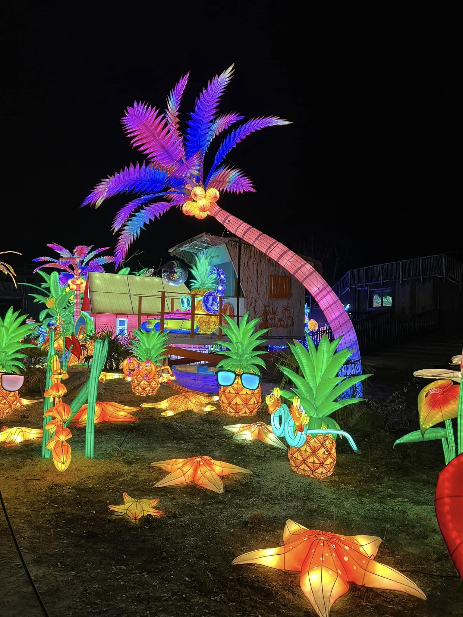 Lantern Lights & Indoor Skiing in Metz 🇫🇷