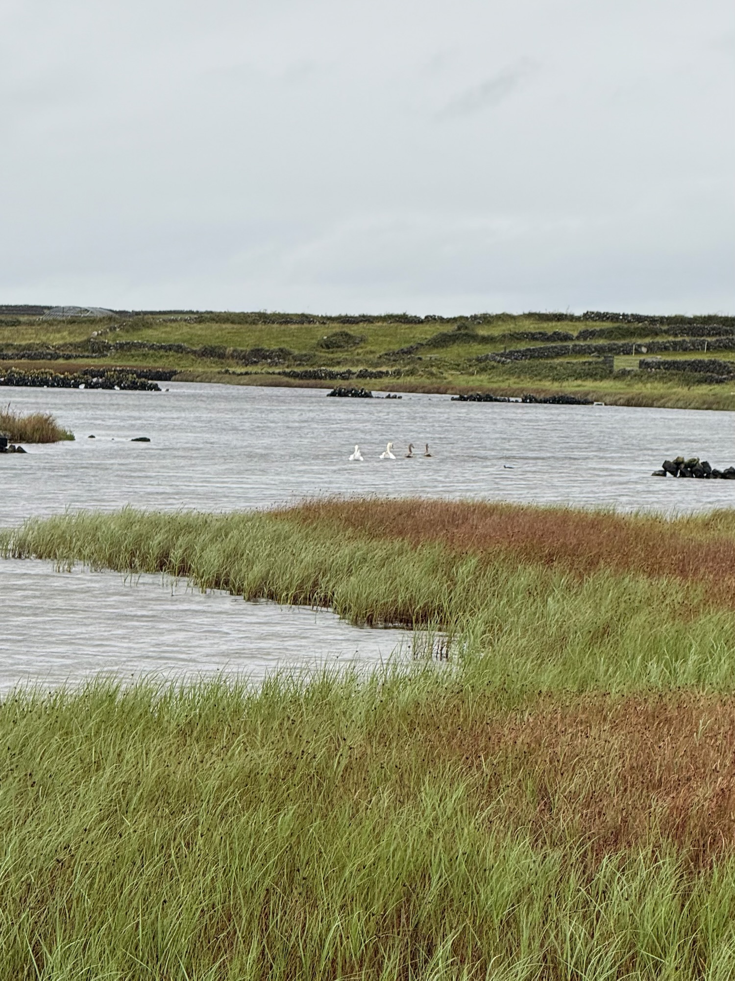 Overnight on Inis Mór: Storms, Stone Walls & Island Life 🇮🇪