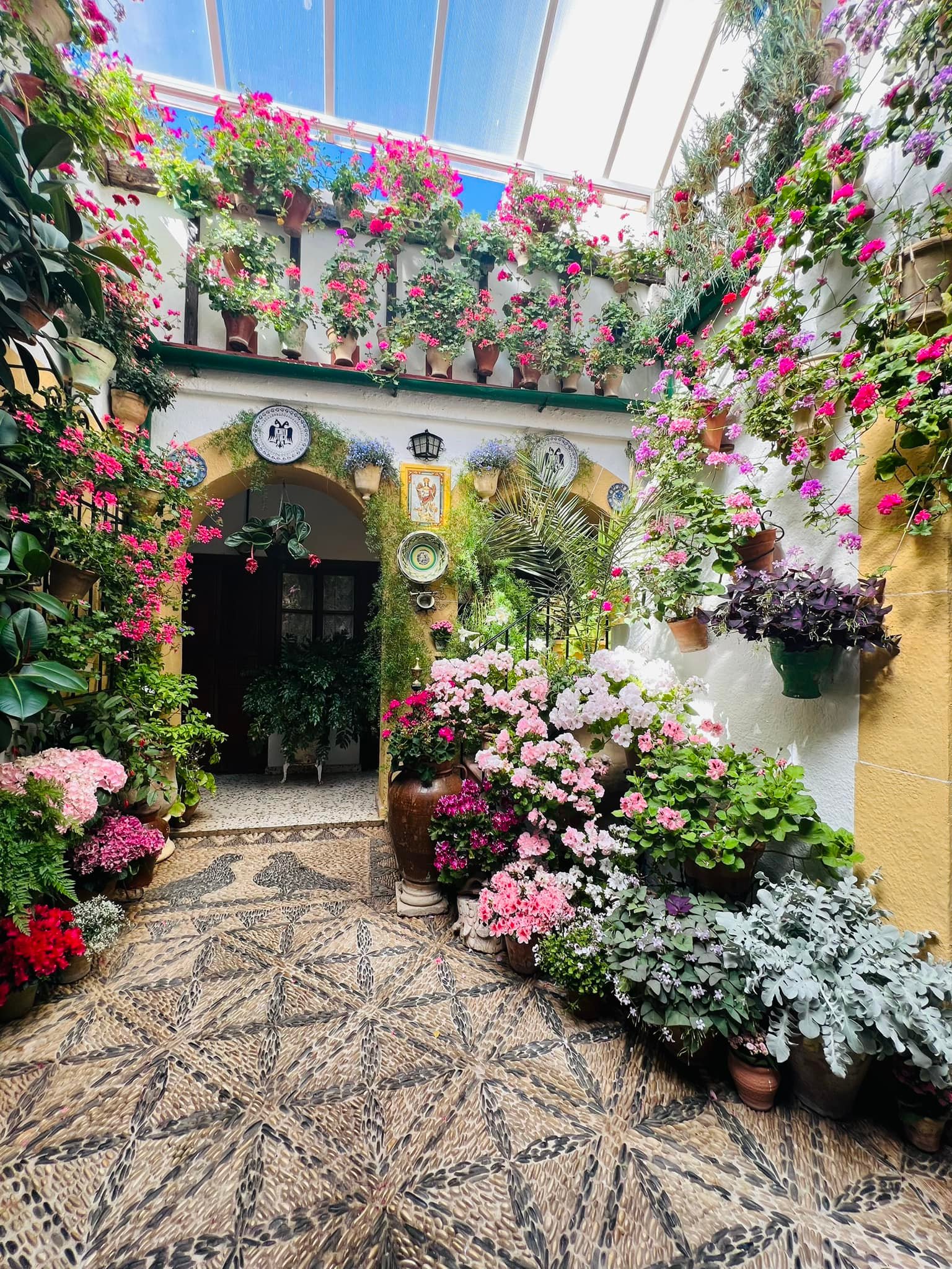 Hidden Worlds of Scent and Color: The Patios of Córdoba 🇪🇸