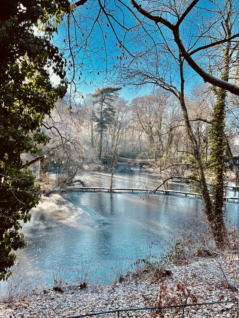 Wuppertal’s Penguins and the Suspension Train 🇩🇪