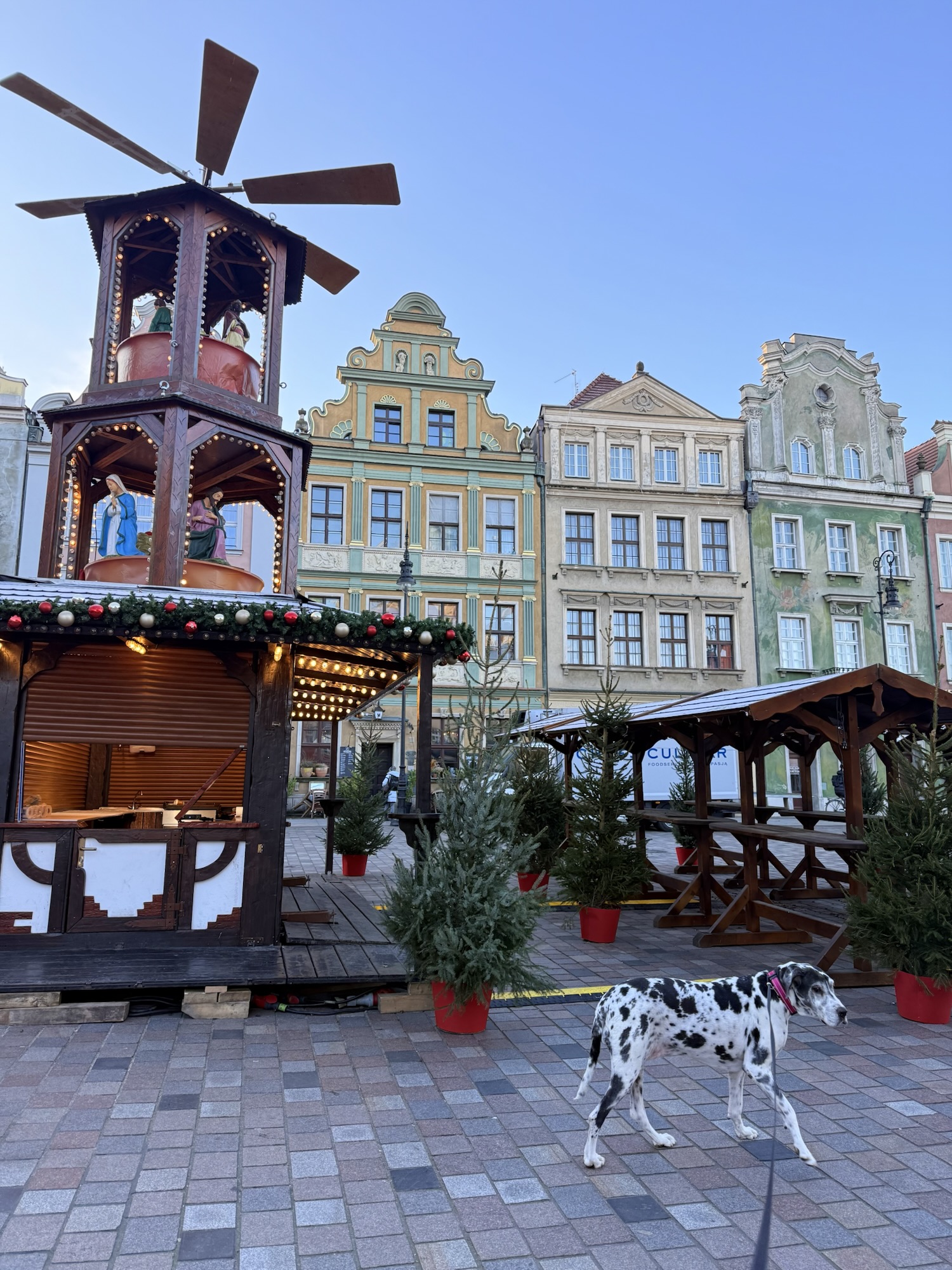 Day 1 – From Wiesbaden to Poznań: Christmas Lights, Late Arrivals & a Loyal Co-Pilot 🇩🇪🇵🇱