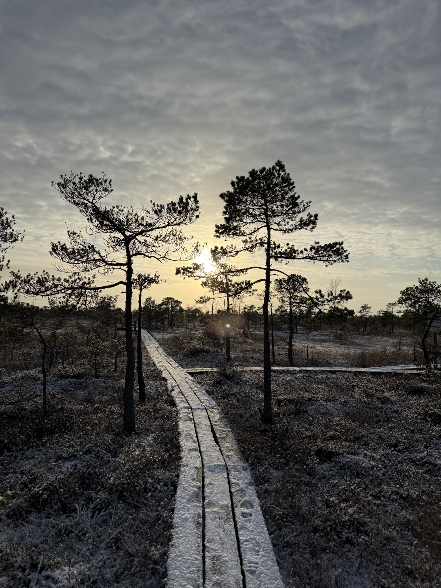 Day 5 – From a Sea of Crosses to the Baltic Breeze: Lithuania to Latvia 🇱🇹🇱🇻
