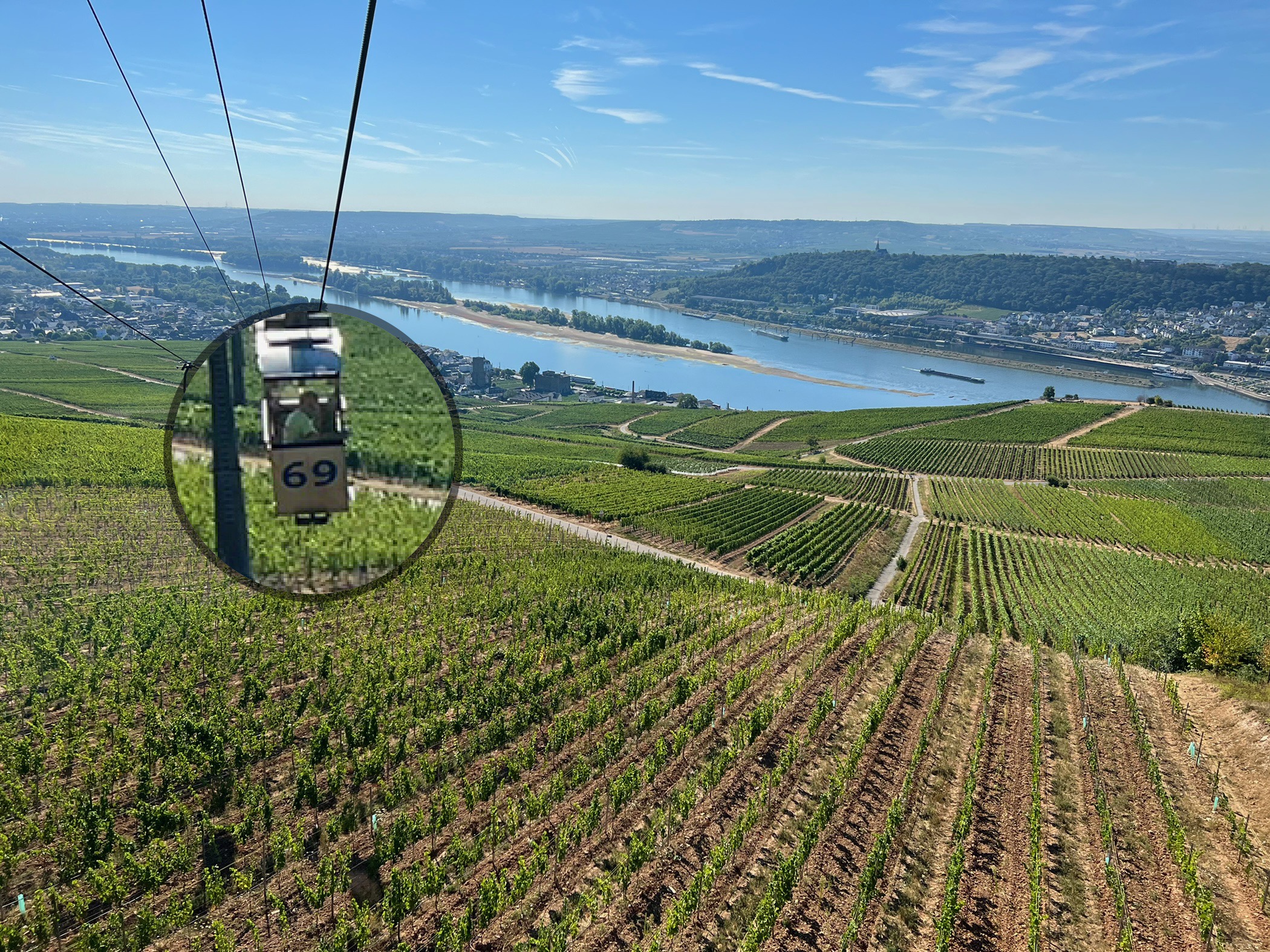 The Ring of Rüdesheim: History, Views, and Small Moments 🇩🇪