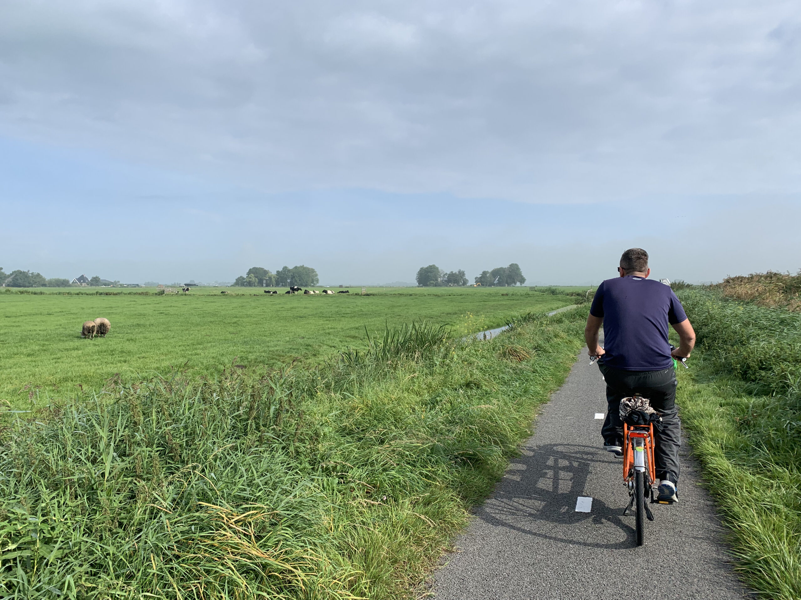 Amsterdam — Day 2: Bicycles, Ferries, and Crooked Houses 🇳🇱