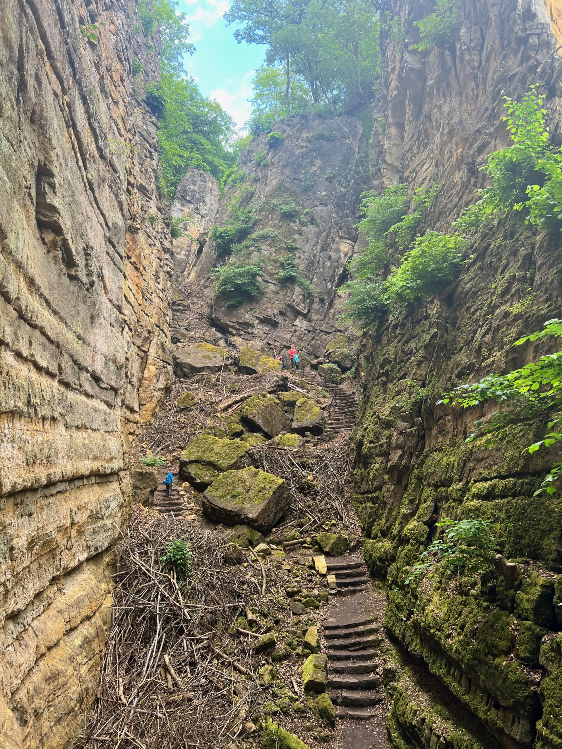 Müllerthal: Luxembourg’s Little Switzerland 🇱🇺