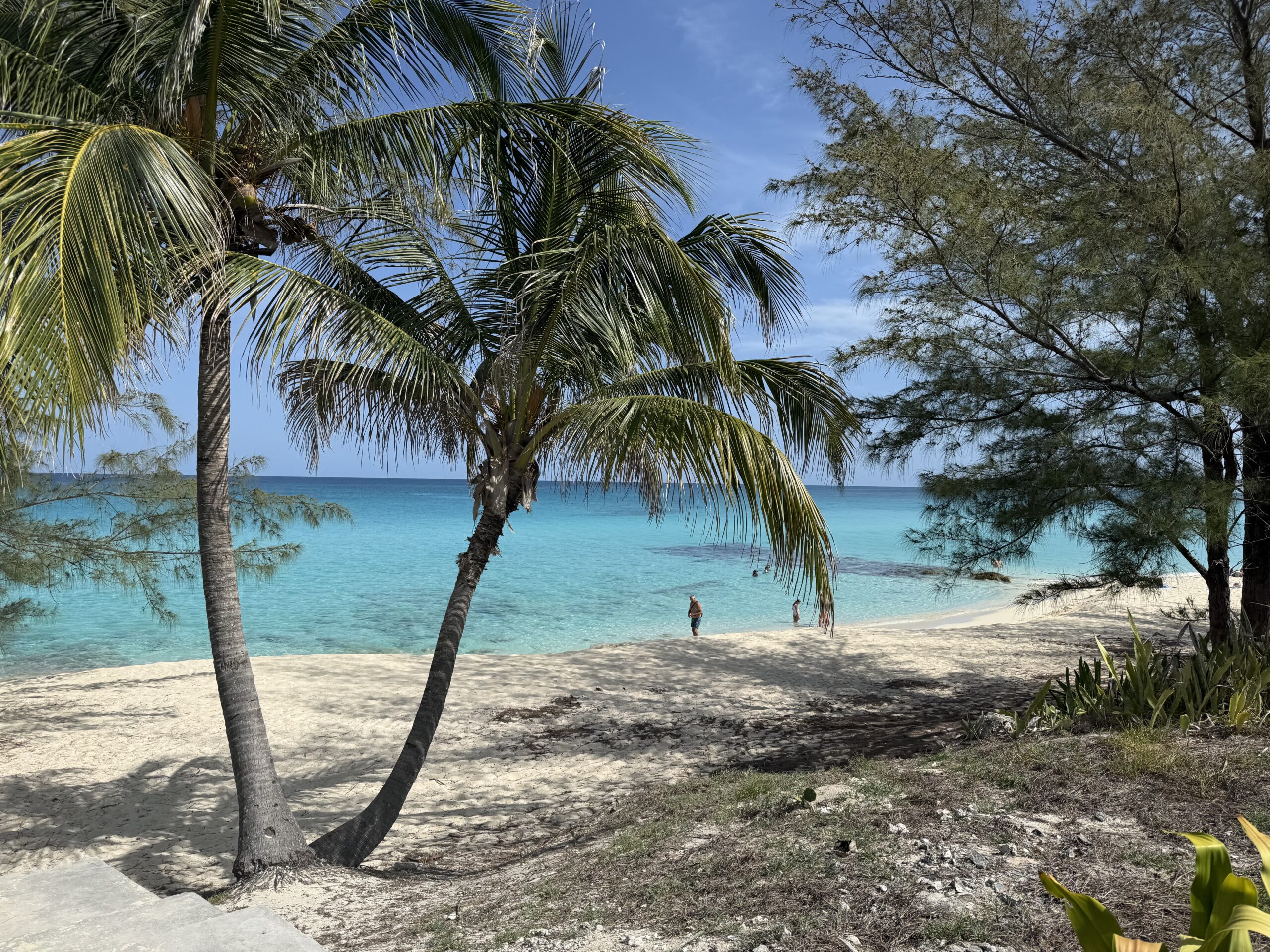 Cruising North Bimini: The Ultimate Self-Guided Family Day Loop ๐ง๐ธ