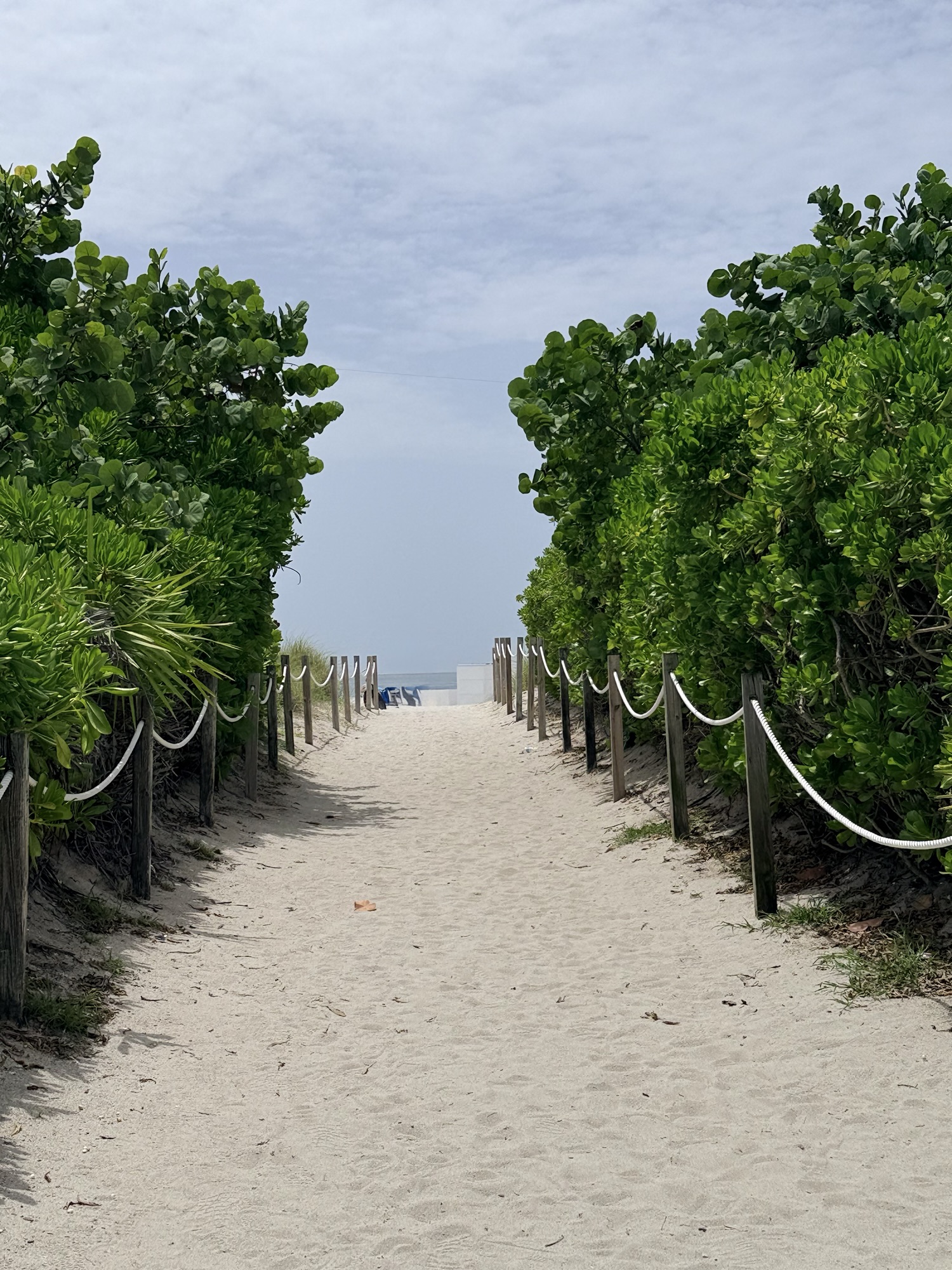 Sunshine, Art Deco, and “The Birdcage” in Miami ๐บ๐ธ