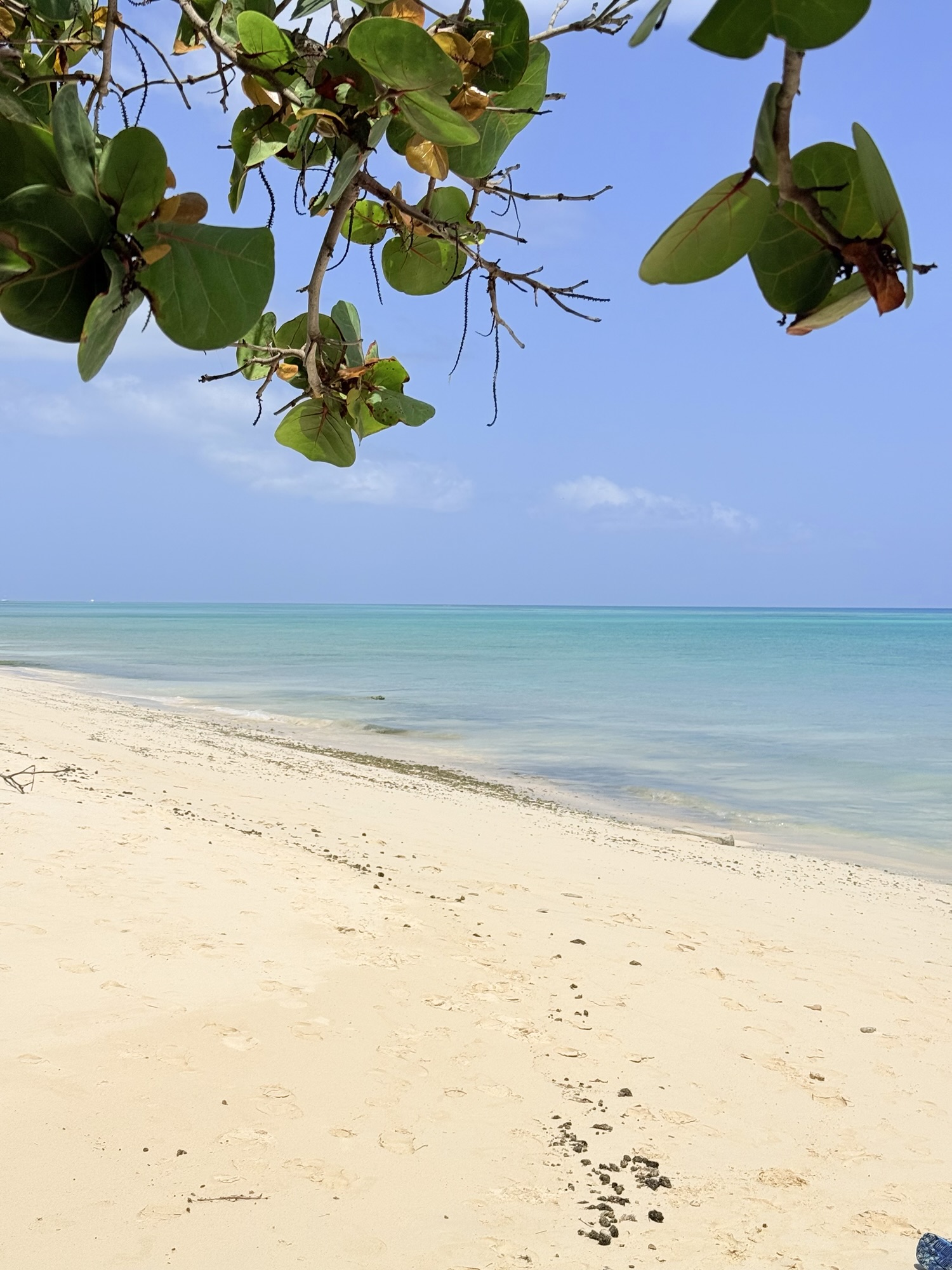 Uncovering Nassau: An Island Odyssey ๐ง๐ธ