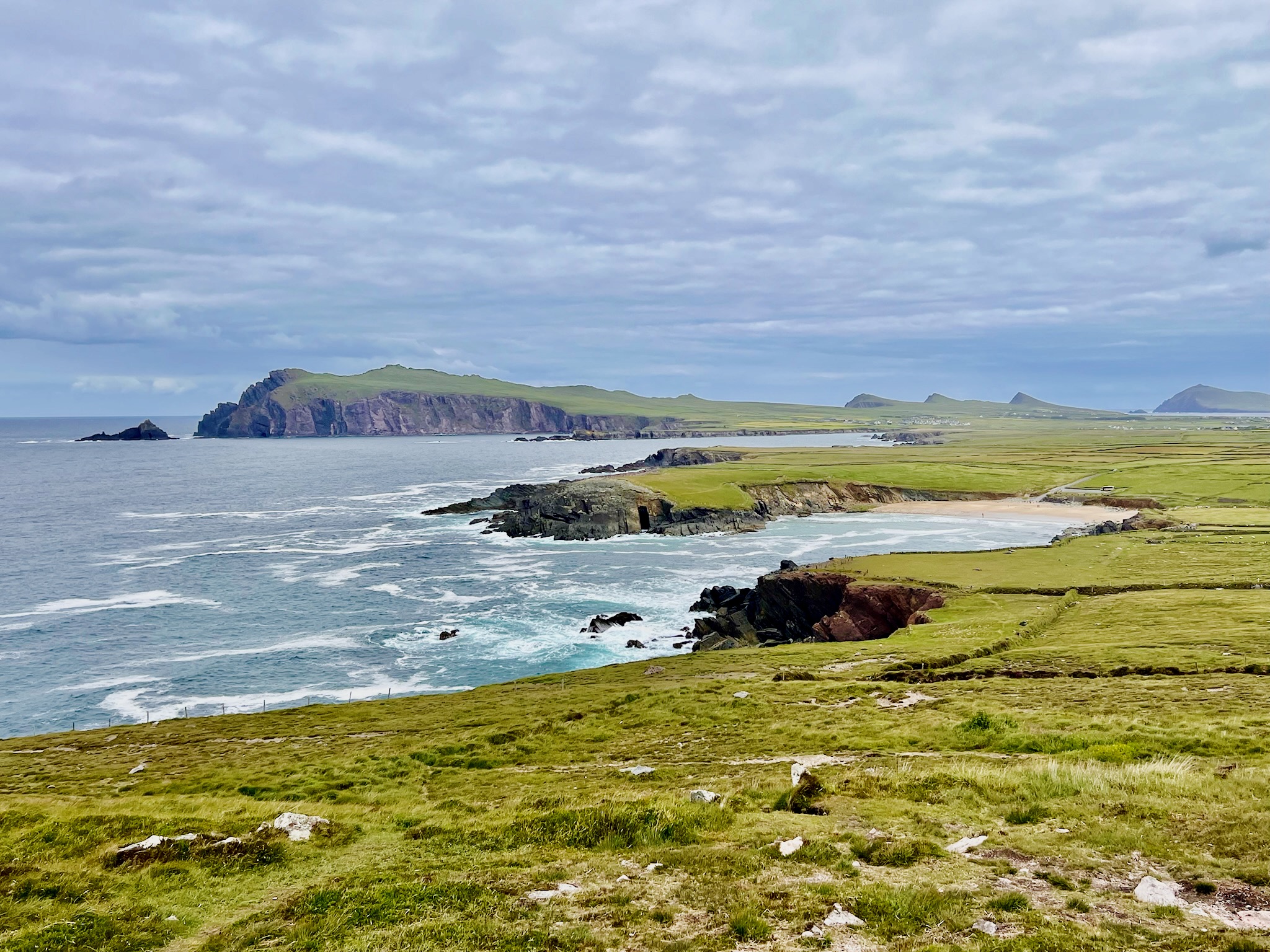 Rugged Cliffs, Baby Lambs, and Ancient Stone: Our Final Day on the Dingle Peninsula 🇮🇪